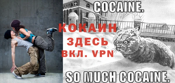кокс Алексеевка