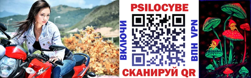 Галлюциногенные грибы Psilocybe  нарко площадка Telegram  Канаш 
