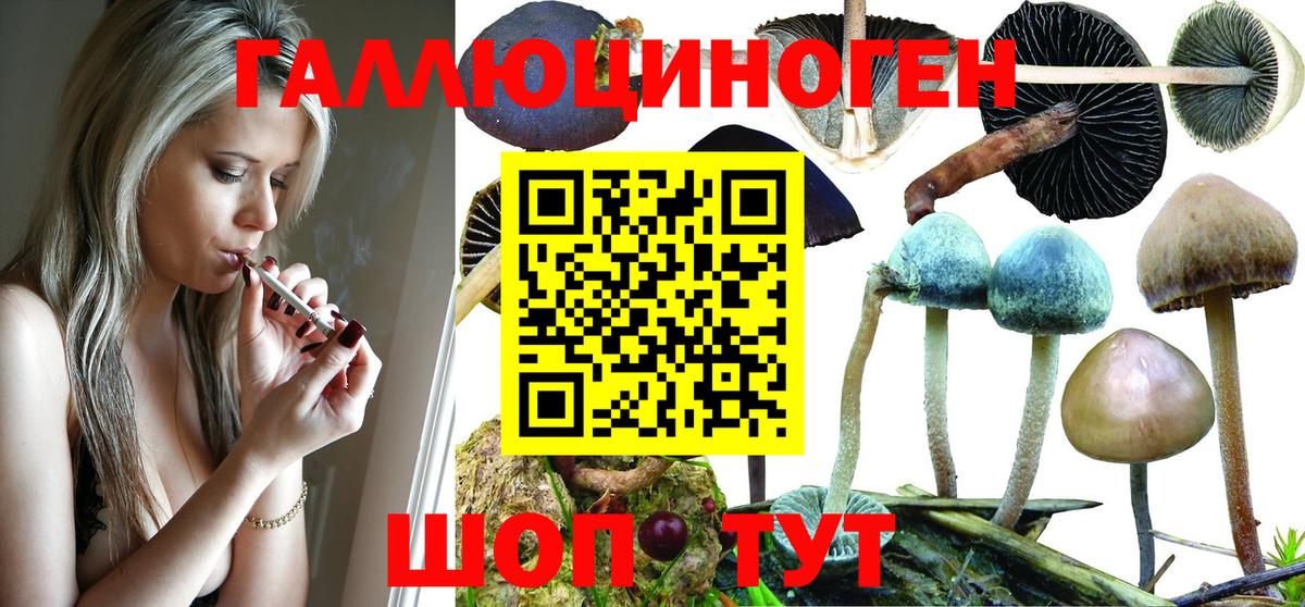 Псилоцибиновые грибы MAGIC MUSHROOMS Канаш